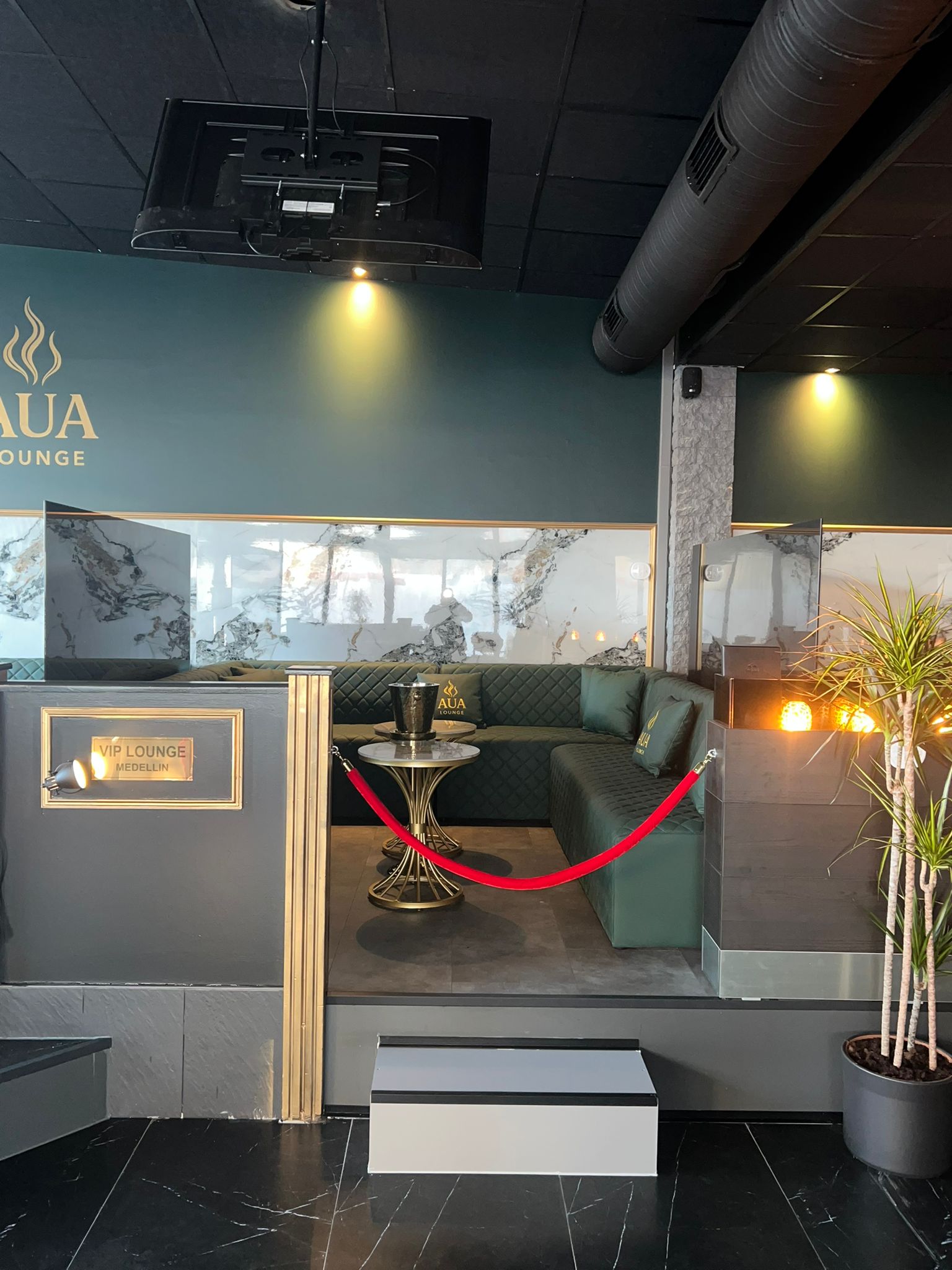 PHOTO 2026 01 20 19 42 49 2